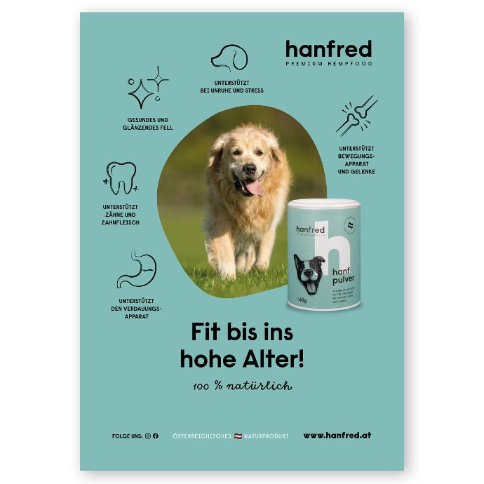 WM Plakat Alte Hunde (A1)