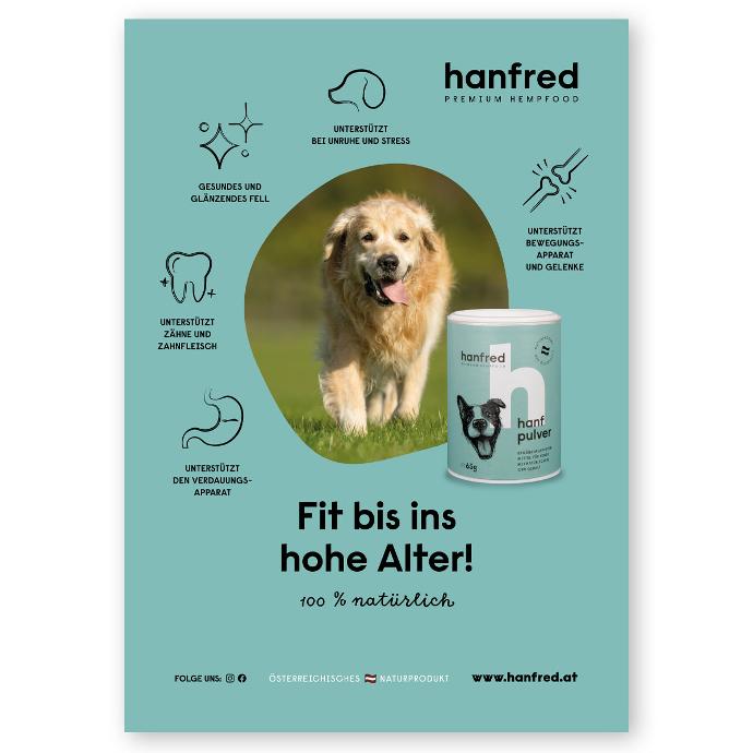 WM Plakat Alte Hunde (A1)