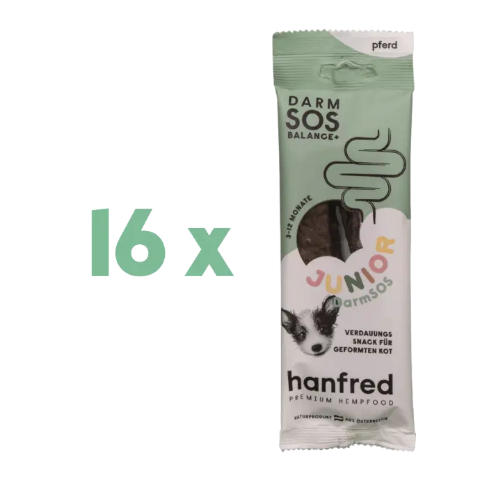 [eh163] SOS Junior Darm Pferd Stangerl 16EH