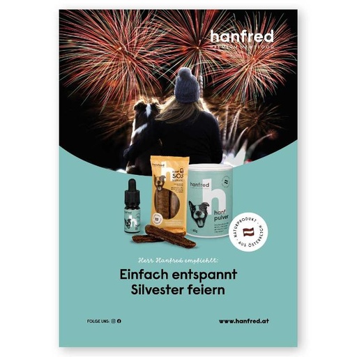 [wm0018] WM Plakat Silvester SOS Stangerl (A1)