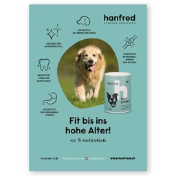 WM Plakat Alte Hunde (A1)