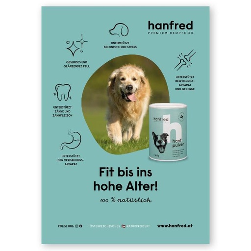 [wm0023] WM Plakat Alte Hunde (A1)