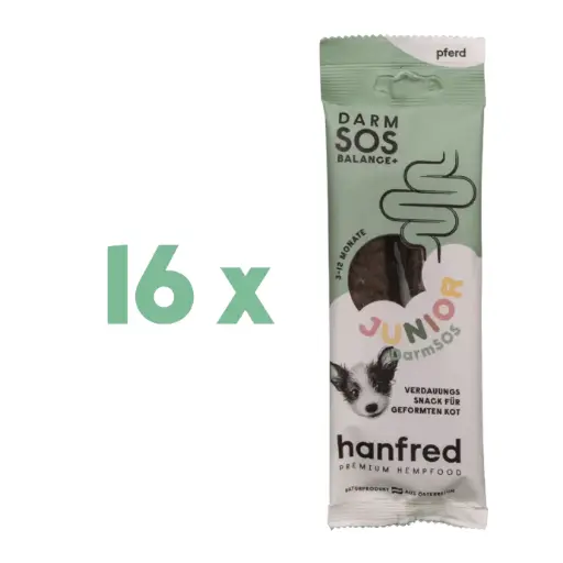 [eh163] SOS Junior Darm Pferd Stangerl 16EH